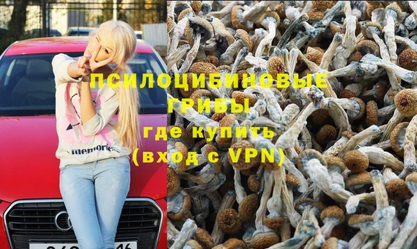 PSILOCYBIN Армянск