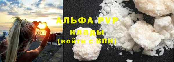 PSILOCYBIN Армянск