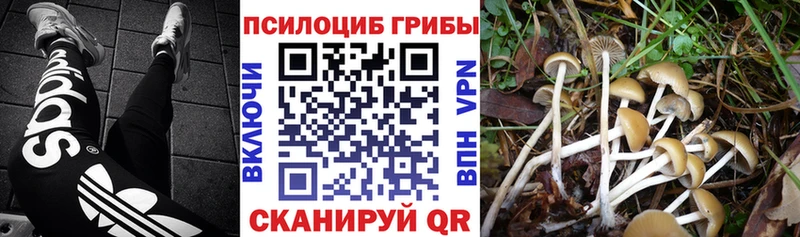 Псилоцибиновые грибы Psilocybine cubensis  блэк спрут ONION  Сосновоборск 